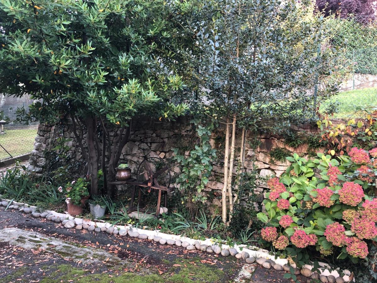 La Casa Verde B&B Trivero Exterior foto